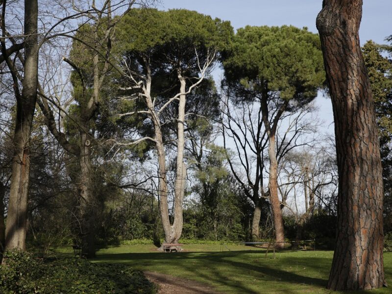 Parque El Capricho. Imagen de archivo del Ayto. Madrid