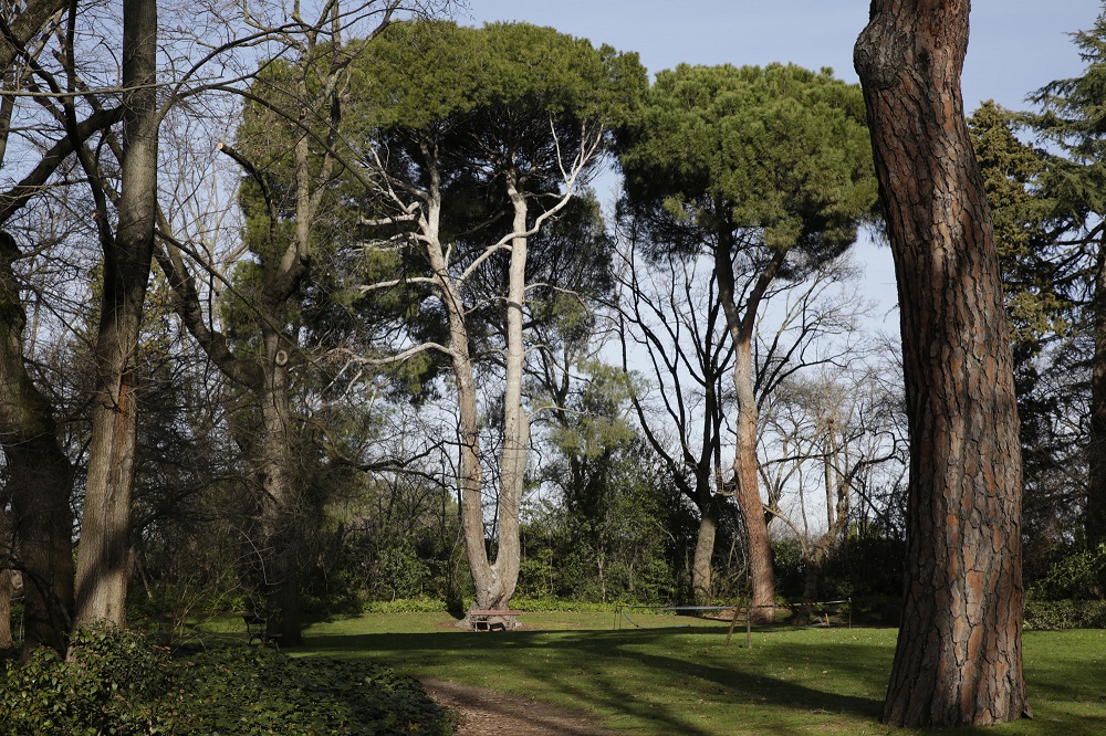 Parque El Capricho. Imagen de archivo del Ayto. Madrid