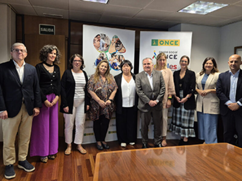 Jurado de los Premios Solidarios Grupo Social ONCE Comunidad de Madrid 2025