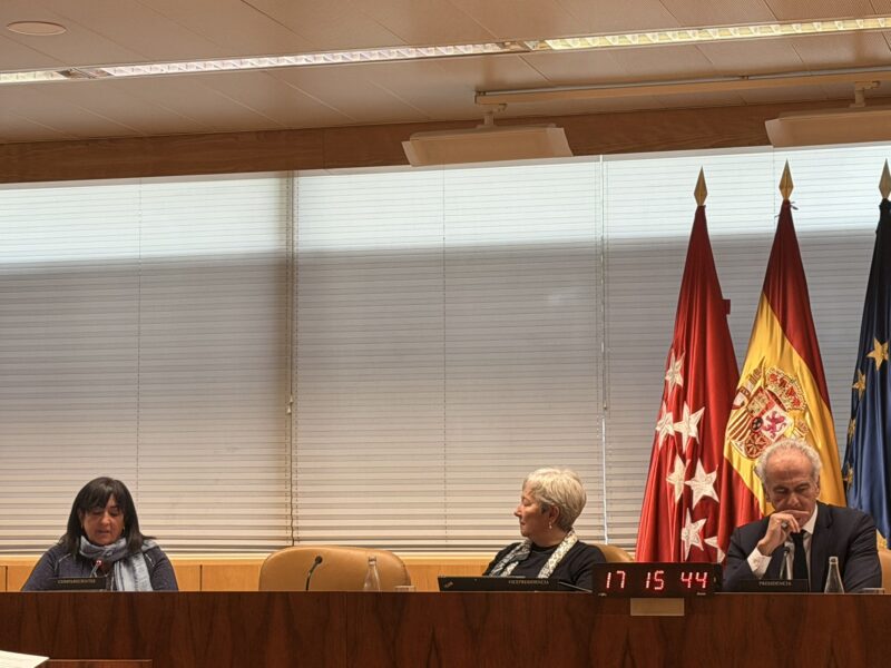 La presidenta de CERMI Comunidad de Madrid comparece en la Comisión para las Políticas Integrales de la Discapacidad de la Asamblea de Madrid