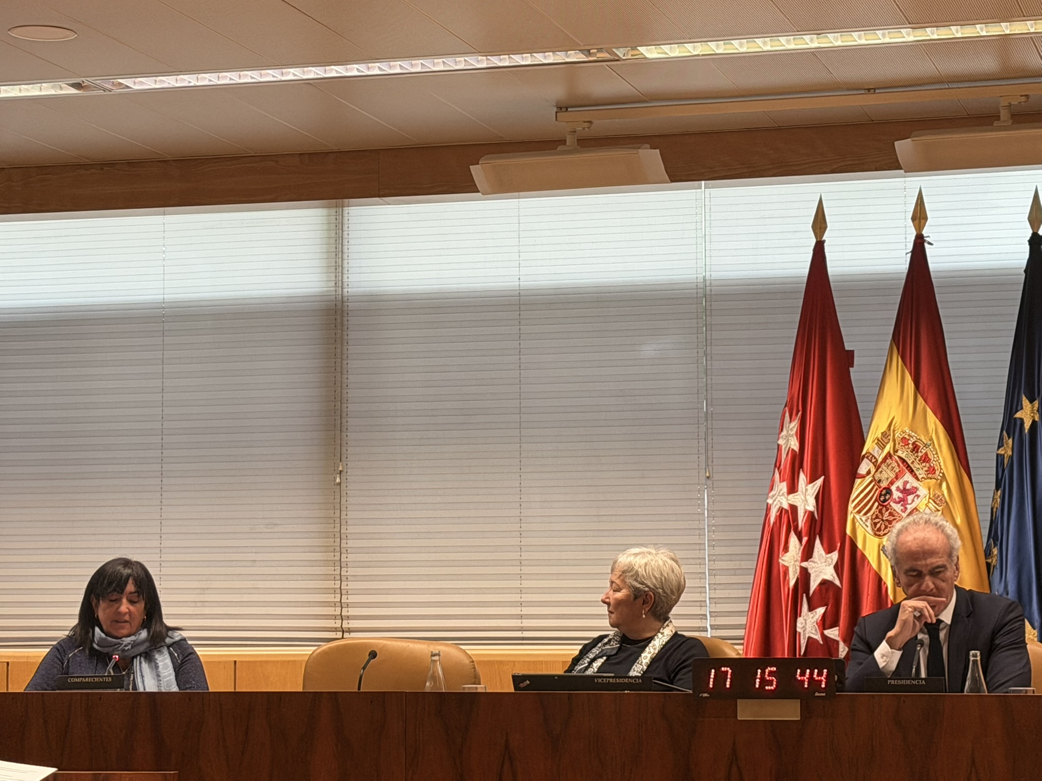 La presidenta de CERMI Comunidad de Madrid comparece en la Comisión para las Políticas Integrales de la Discapacidad de la Asamblea de Madrid
