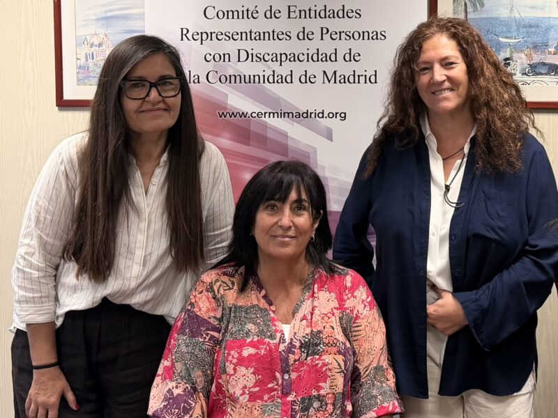Reunión de FeSorCam con CERMI Comunidad de Madrid